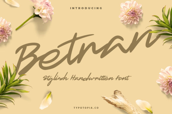 Discover Betran: A Versatile Handwritten Font for Crafters